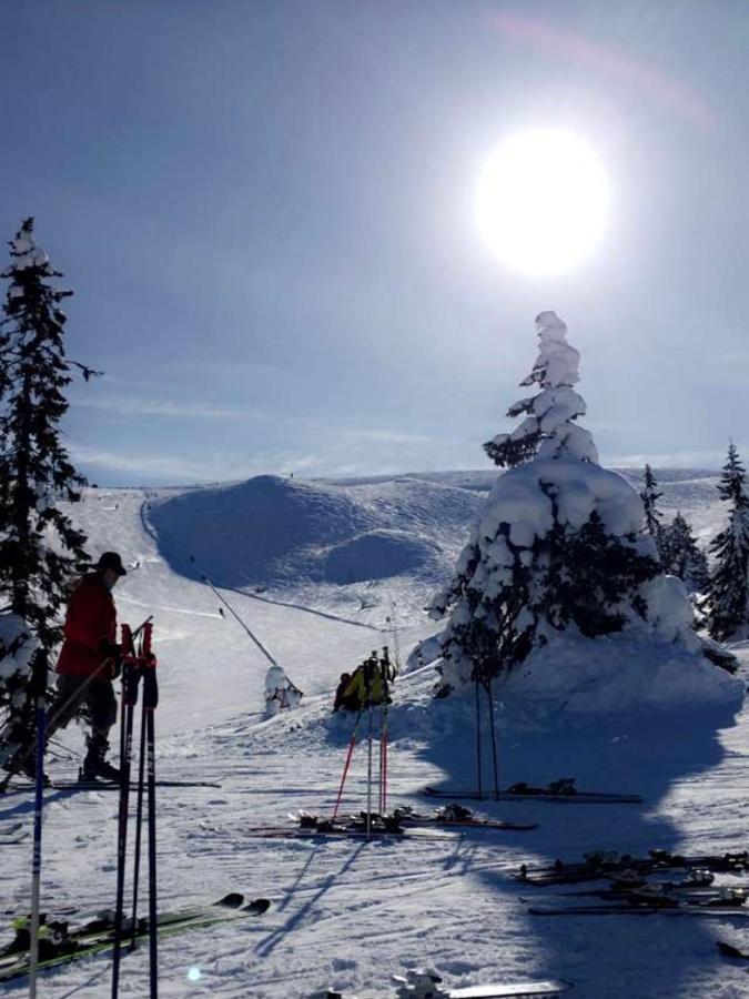 In The Middle Of Trysil Fjellet - Welcome Center - Apartment With 4 Bedrooms And Sauna - By Bike Arena And Ski Lift Екстер'єр фото