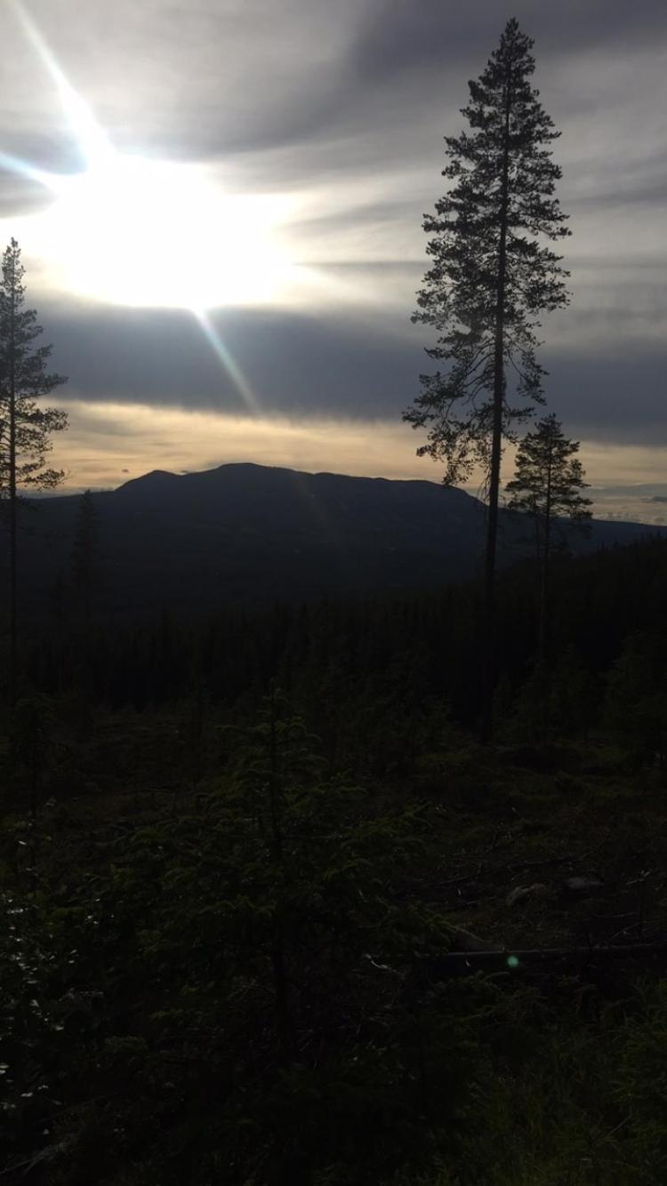 In The Middle Of Trysil Fjellet - Welcome Center - Apartment With 4 Bedrooms And Sauna - By Bike Arena And Ski Lift Екстер'єр фото