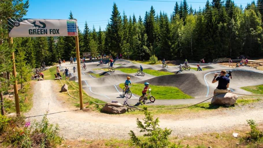 In The Middle Of Trysil Fjellet - Welcome Center - Apartment With 4 Bedrooms And Sauna - By Bike Arena And Ski Lift Екстер'єр фото
